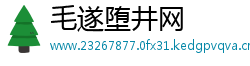毛遂堕井网